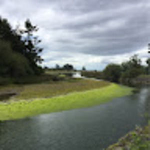 Meet your Posher, Ernest